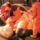 Illustration for article titled This is what the inside of an elephant looks like